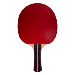 Raqueta Tenis De Mesa Softee P200