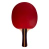 Raqueta Tenis De Mesa Softee P200|Palas Ping Pong