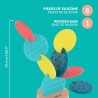 Ftl: Cactus Sensorial +12 Meses