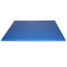 Colchoneta plegable 200 x 200 x 5 cm