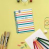 Agenda Escolar 25-26 Diva Finocam Colors – Día Página o Semana Vista