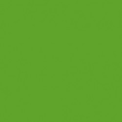 Goma Eva Fluorescente Verde 60x40