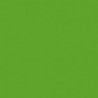 Goma Eva Fluorescente Verde 60x40