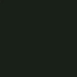 Goma Eva Negro 40x60x2mm