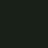 Goma Eva Negro 40x60x2mm