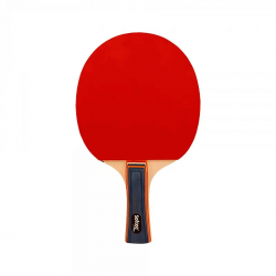 Paleta Ping Pong Competicion P100