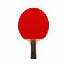 Paleta Ping Pong Competicion P100