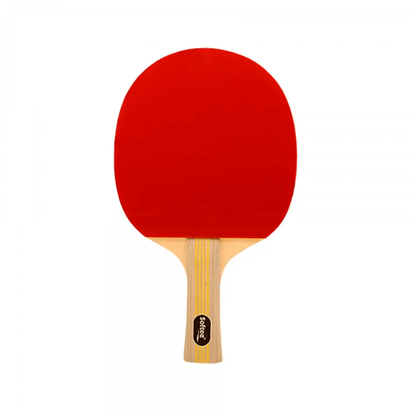 Pala Ping Pong P900 Pro