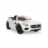 Mercedes AMG GT-S Imove Vehiculo Electrico