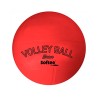 Pelota Voley