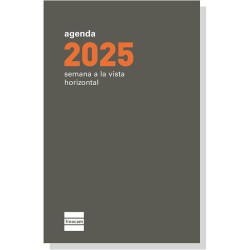 Recambio Agenda 2025 Finocam P394