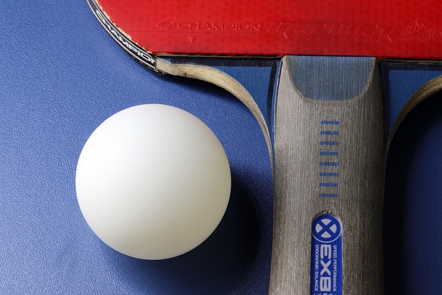 ¿Que tener en cuenta a la hora de comprar una mesa de Ping Pong?