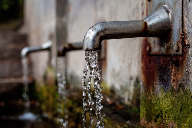 Fuentes de Agua en la Ciudad: Un Refugio Vital en Tiempos de Ola de Calor