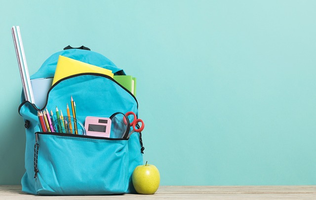 ¿Cuáles son las 10 características de una mochila escolar?
