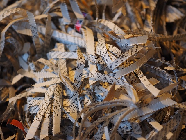 🧾 GUÍA COMPLETA: ¿Cómo escoger una buena trituradora de papel?