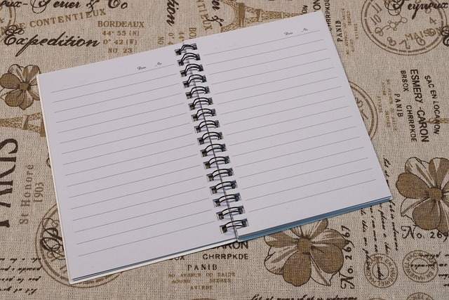 ¿Qué significa cuaderno con pauta?