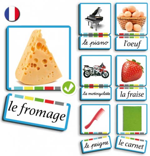 Autodictadado sustantivos francés