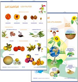Los frutos / utilidades plantas